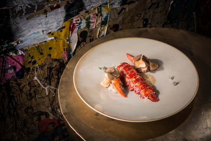 Bibo mania Bibo mania