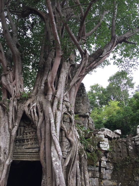 Madame travels - 3 days in Siem Reap