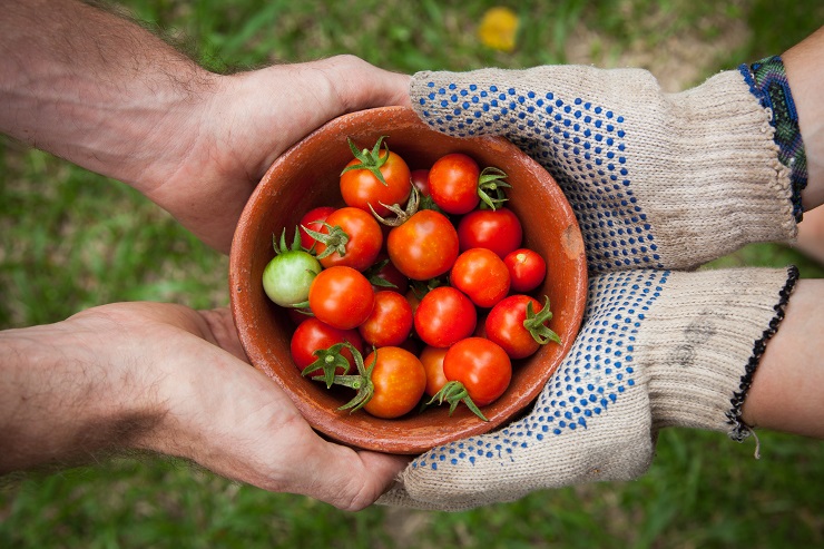 Can French restaurants lead the sustainability shift on Hong Kong dining scene?