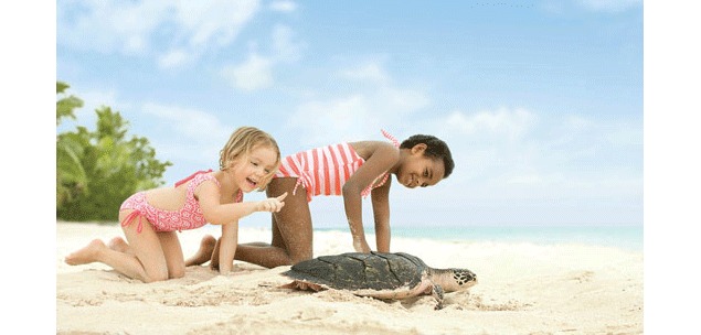 A ride for two to Fidji A ride for two to Fidji