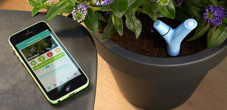 Partner News – A helping hand for green fingers Partner News – A helping hand for green fingers