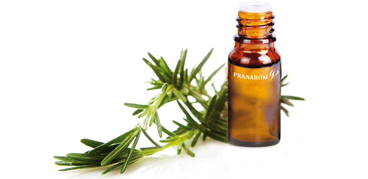 Partner News: At your best after the holidays Partner News: At your best after the holidays