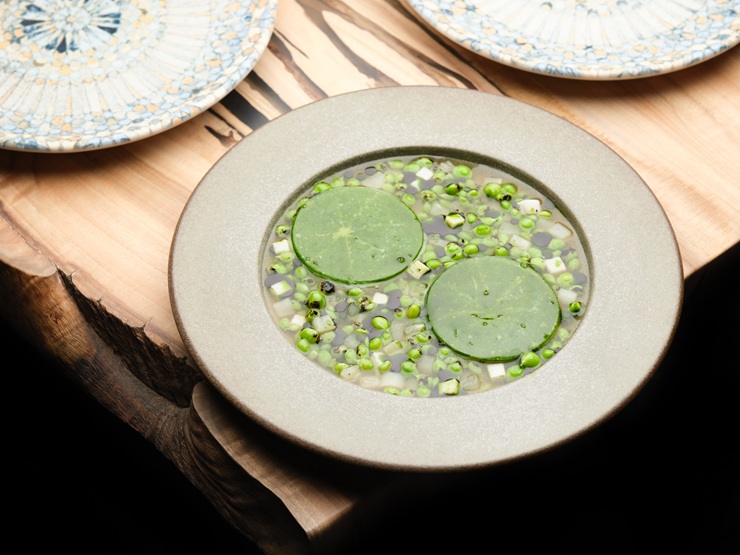 Roganic is back – new address, new format, same magic Roganic is back – new address, new format, same magic
