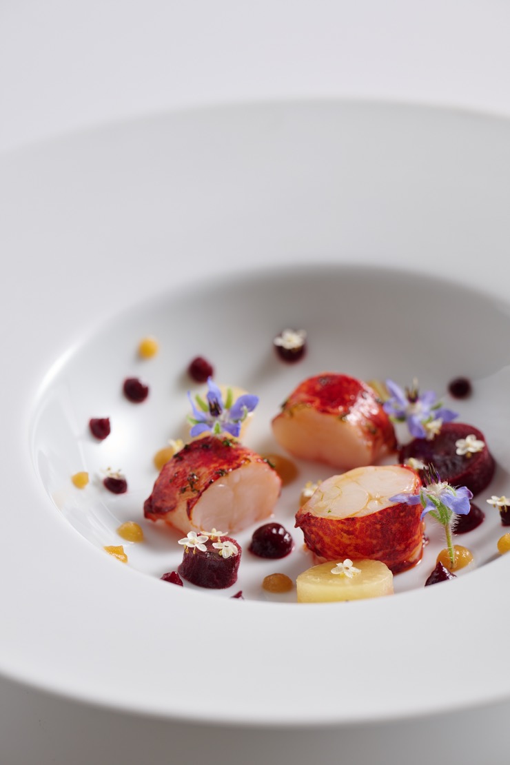 Lobster Brittany / Beetroot / Elderflower