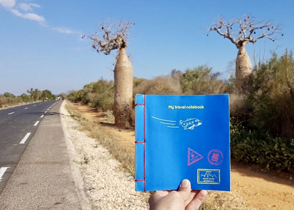 My Travel Notebook: for Globe-Trotters in short trousers