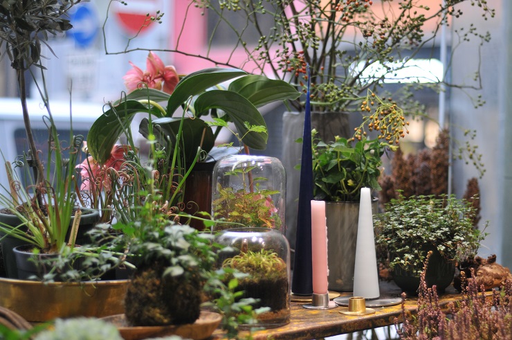 LA PETITE MAISON XXII – a sensorial concept-store conceptualised in Provence LA PETITE MAISON XXII – a sensorial concept-store conceptualised in Provence