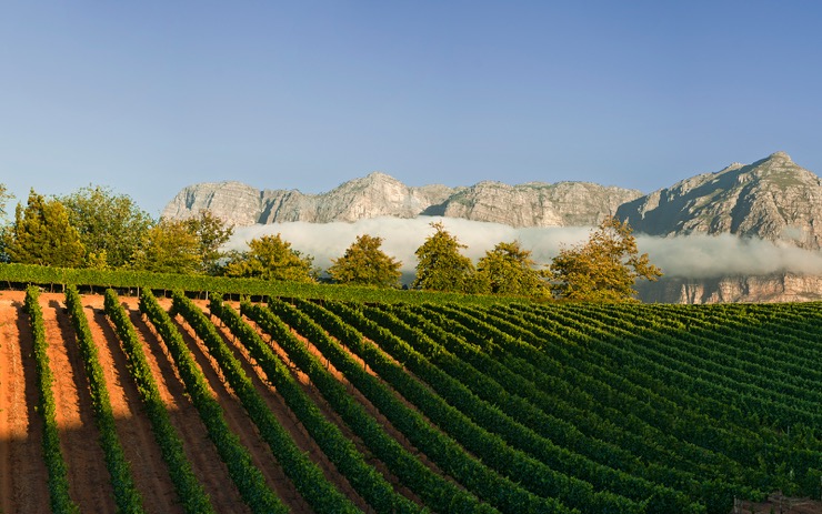 Delaire Graff Estate, a flawless diamond in the South African Vineyards