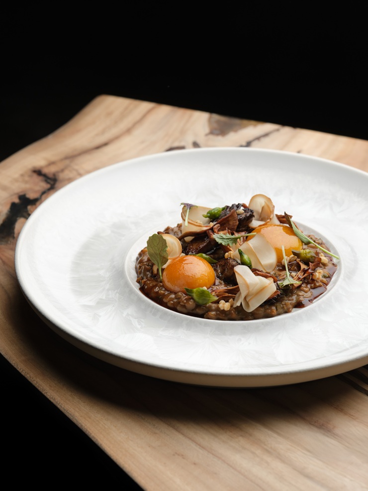 Roganic is back – new address, new format, same magic
