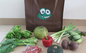 GREEN LITTLE FROG : organic fruits and veggies at your doorstep!