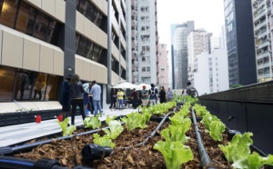 Garage Greens – grown your own vegetables in the heart of the city 