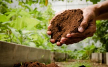 3 local sustainable initiatives worth sharing