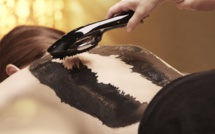 REVIVAL & RELIEF treatments at The Ritz-Carlton Spa REVIVAL & RELIEF treatments at The Ritz-Carlton Spa