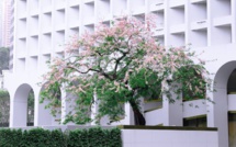 Staycation series #4 – The Murray Staycation series #4 – The Murray