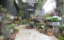 LA PETITE MAISON XXII – a sensorial concept-store conceptualised in Provence