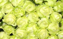 Long live flowers !