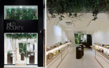 Wild Bounty, the new Lyndhurst Terrace shop that will boost you!