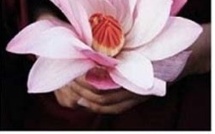 Why not try Shiatsu? Why not try Shiatsu?