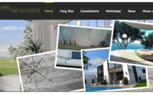 The feng shui master for you!
