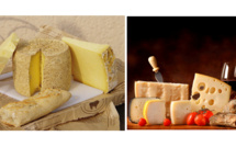 Frenchies say cheese: matching food and wine by a pro!