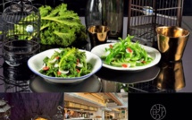 YUM CHA:  A Must Try for Dim Sum lovers