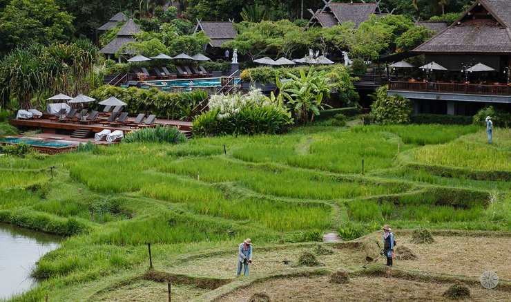 Carnet de Voyage - 3 jours à Chiang Mai