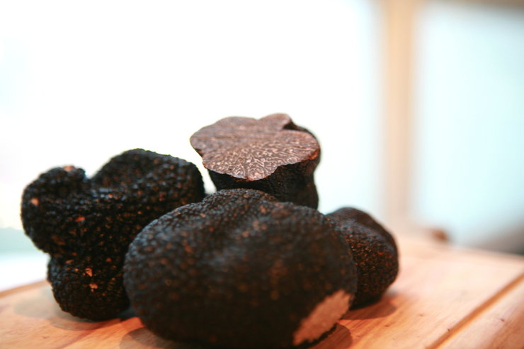 Gia Trattoria Gia Trattoria