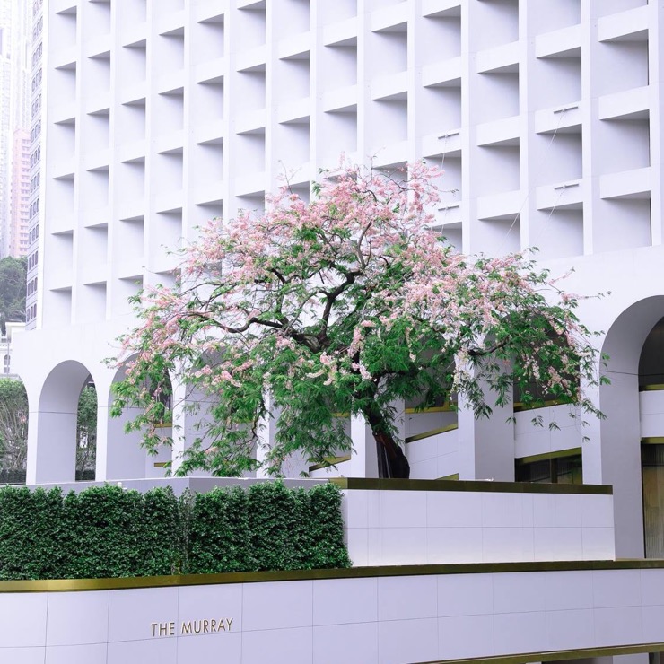 Série Staycation #4 – The Murray Série Staycation #4 – The Murray