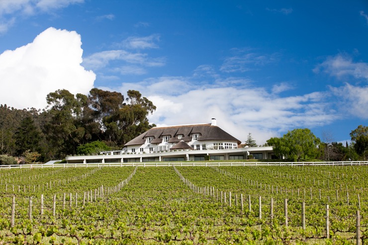 Mont Rochelle, une pépite dans les vignobles Sud-Africains