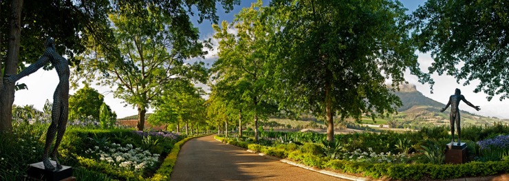 Delaire Graff Estate, le diamant brut des vignobles Sud-Africains 