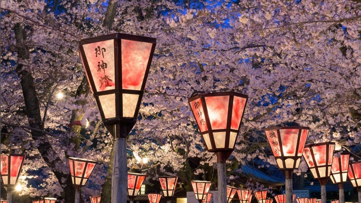 Voir les cerisiers en fleurs : Japon ou Corée du Sud ?