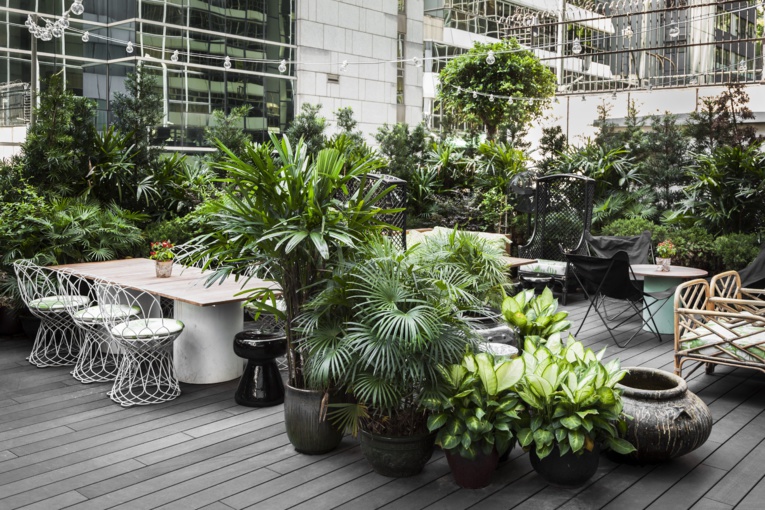 Notre top 5 des terrasses de restaurants à Central Notre top 5 des terrasses de restaurants à Central