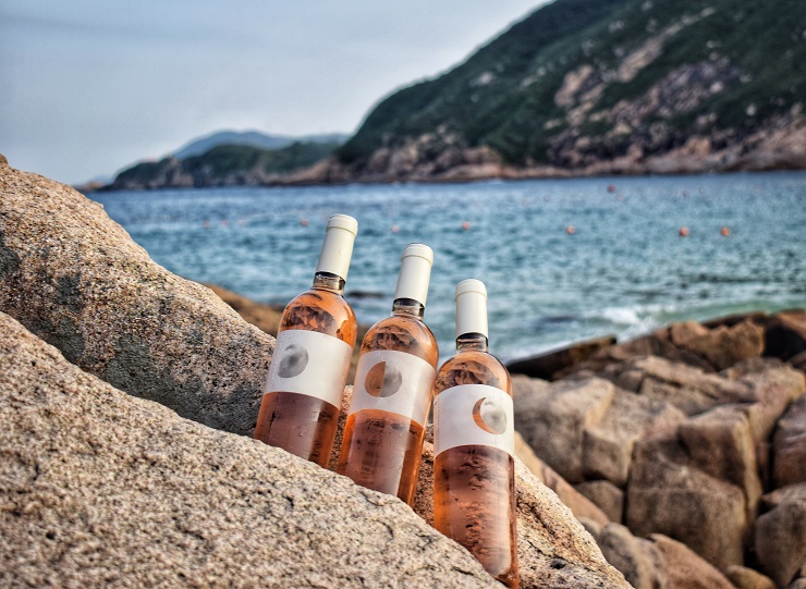 Conversation avec : Charles et Valentin, fondateurs de Vines and Terroirs Conversation avec : Charles et Valentin, fondateurs de Vines and Terroirs