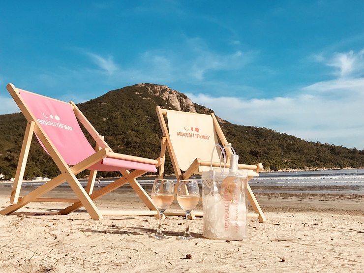 Conversation avec : Charles et Valentin, fondateurs de Vines and Terroirs Conversation avec : Charles et Valentin, fondateurs de Vines and Terroirs