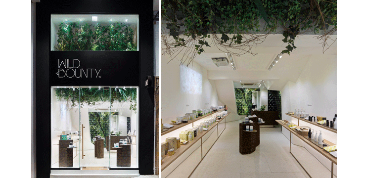 Wild Bounty : la boutique de Lyndhurst Terrace qui va vous booster ! Wild Bounty : la boutique de Lyndhurst Terrace qui va vous booster !