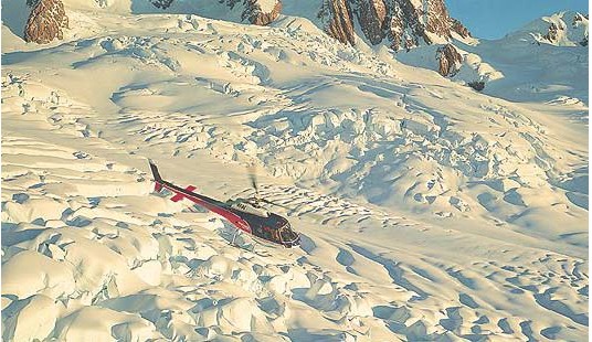 News partenaire - Frogs-in-NZ News partenaire - Frogs-in-NZ