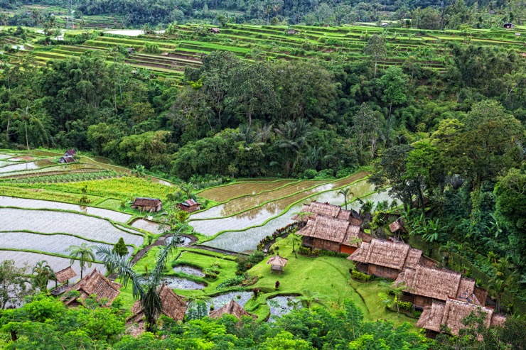 https://www.shantitravel.com/fr/voyage-indonesie/bali/tour-horizons-bali/?utm_source=hong-kong-madame https://www.shantitravel.com/fr/voyage-indonesie/bali/tour-horizons-bali/?utm_source=hong-kong-madame