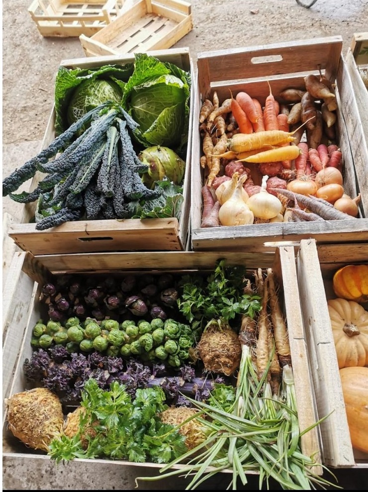 Conversation avec : Claire, fondatrice de Food Origin Conversation avec : Claire, fondatrice de Food Origin