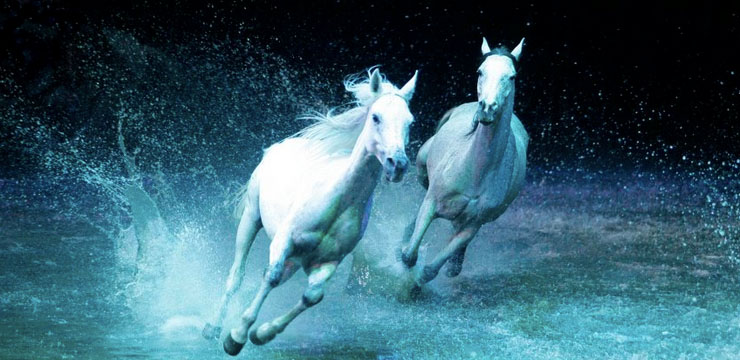 Rencontre avec Normand Latourelle, créateur de « Cavalia »