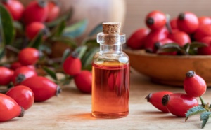 Pourquoi l’huile d’églantier est notre allié beauté de la rentrée ?