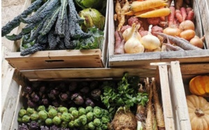 Entrepreneurs à Hong Kong – Claire, fondatrice de Food Origin