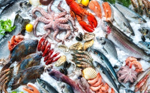 Des fruits de mer au menu des fêtes