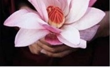 Et pourquoi pas le Shiatsu ? Et pourquoi pas le Shiatsu ?