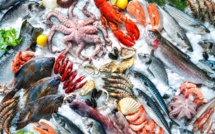 Des fruits de mer au menu des fêtes