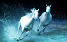 Rencontre avec Normand Latourelle, créateur de « Cavalia »